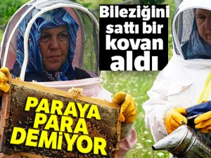 Bir kovan arı aldı, şimdi paraya para demiyor