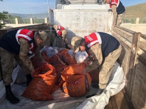 Kaçak balık avlayanlara 172 bin 568 TL para cezası