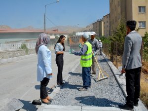 Belediye Eşbaşkanı Armut çalışmaları denetledi...
