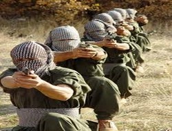 Ş.Evrim Demir İntikam Tugayı Bildiri Dağıttı