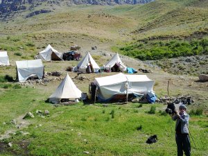 Silah sesi yerini koyun kuzu seslerine bıraktı