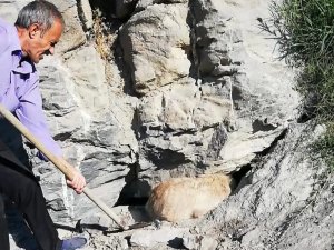 Geçitli köyü sakinlerinde insanlık dersi