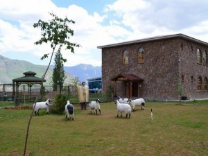 Hakkari Evin’den Kurban bayramı mesajı