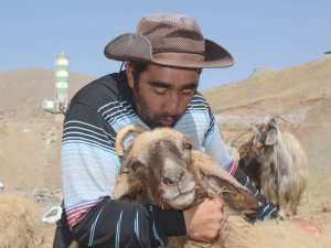 Hakkari’de kurban bayramı telaşı