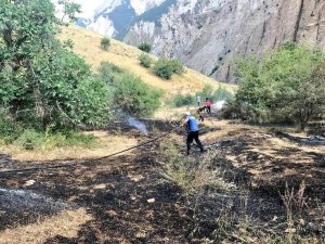 Ördekli ve Doğanca'daki yangın söndürüldü