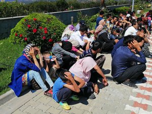 18 kişilik minibüsten 54 mülteci çıktı