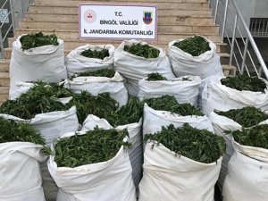 1 ton 280 kilo esrar ele geçirildi..