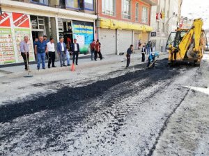Eşbaşkan Karaman çalışmalar denetledi