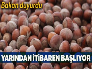 Fındık alım ödemeleri başladı