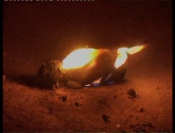 Hakkari rektörlük binasına saldırı