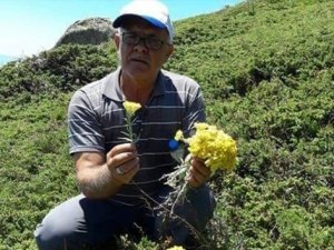 Bu ot yılda sadece bir ay yetişiyor