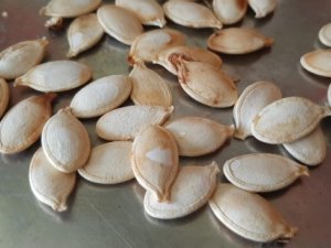 Bu çekirdeğin kilosu 5 bin lira