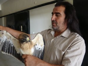 4 Ekim dünya hayvanları koruma günü