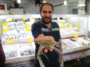 Denizi olmayan kentte kapış kapış gidiyor