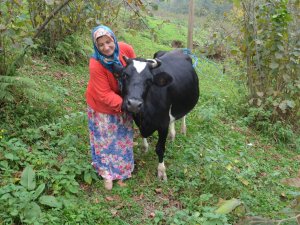 Bu ilçede insanlar uzun yaşıyor