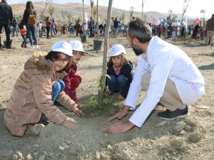 Doğan her bebek için bir fidan dikiliyor
