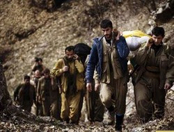 Yaşamını yitiren 7 PKK'lıların kimlikleri açıklandı