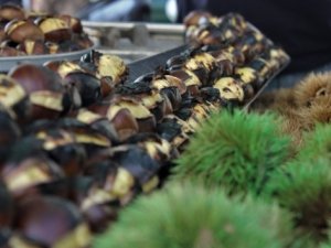 Kışın habercisi kestaneciler ocaklarını yaktı.