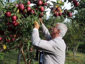 Meyveciliği hobiden ticarete dönüştürdü