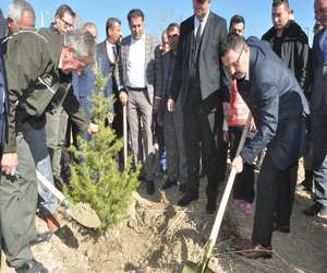 Yüksekova’da fidan dikimi