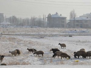 Yüksekova beyaza büründü