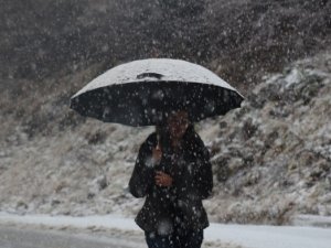 Lapa lapa kar yağdı! Her yer beyaza büründü