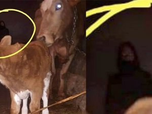 Sosyal medyada gündem olan esrarengiz fotoğraf