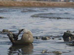 Van Gölü'nde tüyler ürperten olay