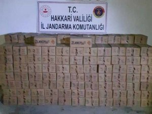 50 bin 100 adet av tüfeği fişeği ele geçirildi