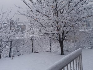 Hakkari’de köy ve mezra yolları yeniden ulaşım açıldı