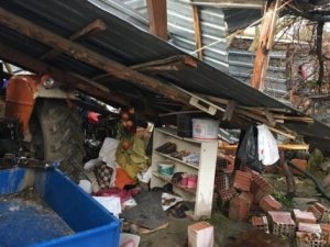 Besin değeri etle yarışıyor