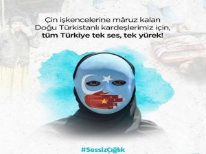 Başkan Temel'den Doğu Türkistan açıklaması