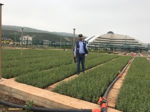 Bir yılda 1 milyon fidan üretildi