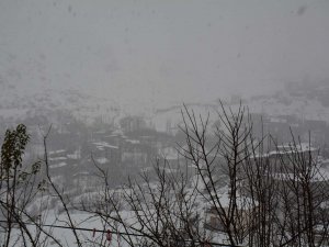 Hakkari'de 24 köy, 51 mezra yolu ulaşıma kapandı