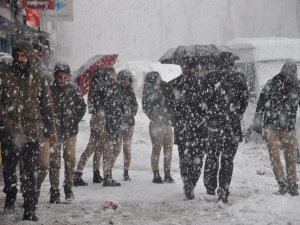 Yüksekova’da lapa lapa kar yağışı