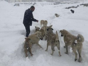 Yüksekovalı duyarlı vatandaştan örnek davranış