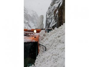 İş makinesinin üzerine çığ düştü