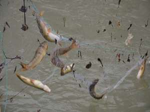 Eksi 18 derecede balık tutuyorlar