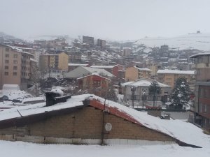 Hakkari'de dondurucu soğuklar etkili oluyor