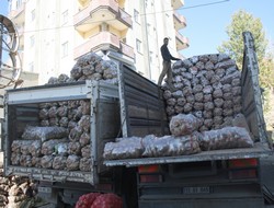 Patates satışları arttı