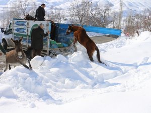 Kırıkdağ köyü sakinleri 15 ata sahip çıktı