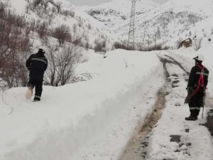 Vedaş ekiplerinin sınırda zorlu mesaisi