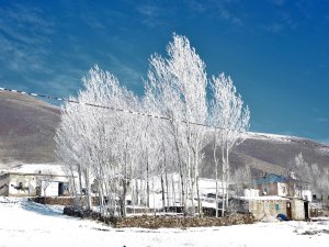 Sibirya soğukları etkili olmaya devam ediyor...