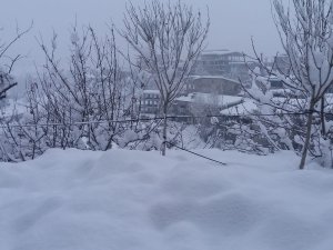 Hakkari'de taşımalı eğitim tatil edildi