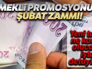 Emeklinin promosyon oranı Şubat'ta belli olacak
