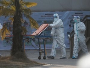 Corona virüsü yılanlardan insanlara geçti