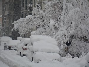 Hakkari'de 184 yerleşim yeri ulaşıma kapandı