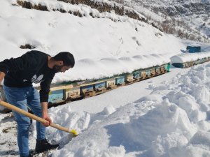 Beytüşşebap'da arıcıların zorlu kış mesaisi