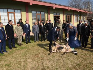 Ülkemiz'deki olaylar son bulsun diye kurban kestiler