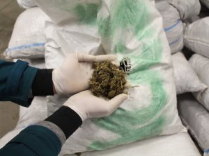 2 ton 70 kilogram esrar ele geçirildi!